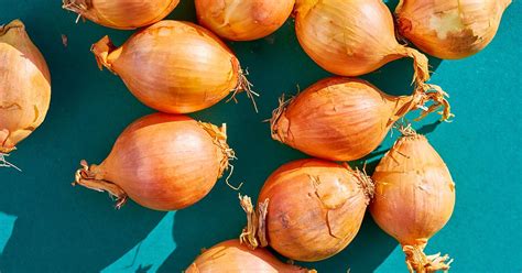 matag tiki|10 Home Remedies for Boils: Tea Tree Oil, Antibiotics & More.